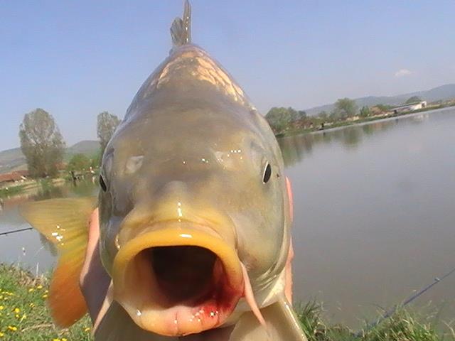 pe la balti - pic2639.JPG